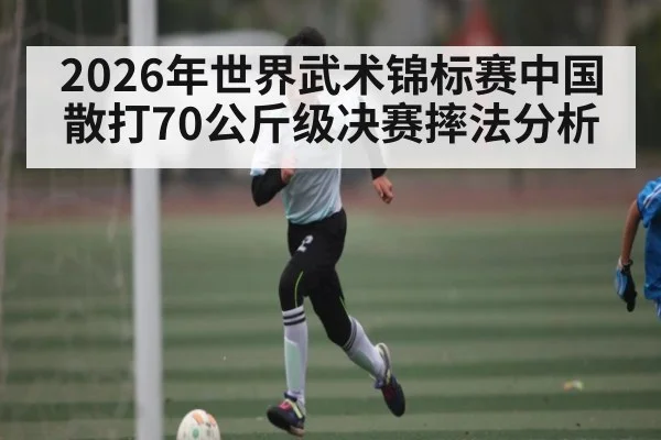 2026年世界武术锦标赛中国散打70公斤级决赛摔法分析